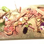 フィオッキ - 活どじょうの白ワイン蒸し 　胡桃、ポルチーニ茸、カカオ、リクイリーツィア