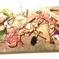 フィオッキ - 活どじょうの白ワイン蒸し 　胡桃、ポルチーニ茸、カカオ、リクイリーツィア