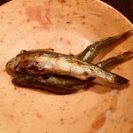 京天神 野口 - 焼物はモロコ