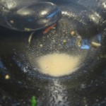 博多ラーメン　一花 - 豚骨の証の骨粉