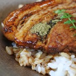 Kishiwada Sa Bisu Eria Kudari Sen - ヤマトポークの豚かば丼