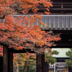 Otafuku - 建仁寺