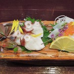 酒肴商店 アジト - 私のお造りは左端のタコとイカ！