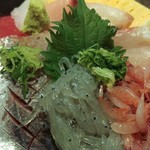 沼津魚がし鮨　 - 