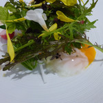 Moliere Cafe　降っても晴れても - 