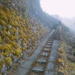 ペルトナーレ - 