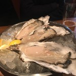 Sorpresa Oyster Bar and Grill - 