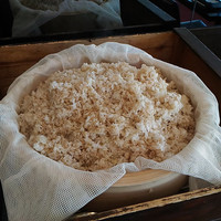 浅草むぎとろ 本店 - 
