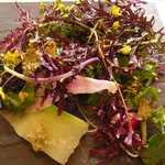 ラ・リューン - 有機野菜のサラダ