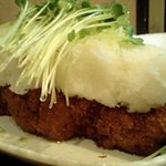 7893531 - おろしたっぷり豚カツ