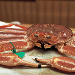 緒方 - 今日の間人蟹のお出まし！いい顔をしている！