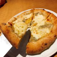 THE RIGOLETTO - 