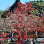 緒方 - 永観堂の紅葉