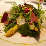 ラシェリール - 