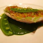 ラシェリール - 