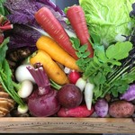 Restaurant 信 - 京都園部産地場野菜