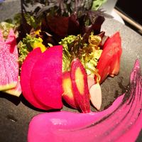 MAIMON GINZA - 