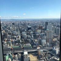 エノテーカ ピンキオーリ 名古屋 - 