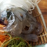 いか本家 いそ浜別館 - 