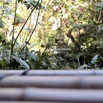 瓢亭 本店 - お部屋より内庭を望む