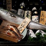 うまい寿司と魚料理 魚王KUNI - 