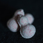 和三盆 恵菓 - "ふりだし"、苔桃（クランベリ）