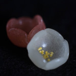 和三盆 恵菓 - 有平糖（あるへいたう）、白梅（はくばい）