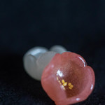 和三盆 恵菓 - 有平糖（あるへいたう）、紅梅（こうばい）