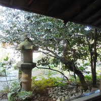 旅館 くらしき - 