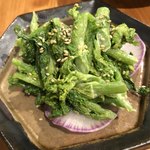 yoiyo - 