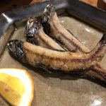 yoiyo - 