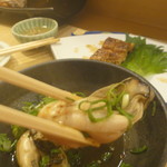 だるま寿司 - グラマーでしょ（ｗｗｗｗｗ