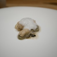 bb9 - 