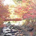 朴念仁 重庵 - この日の修善寺