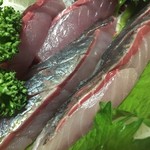 天一 - 青鯵  神