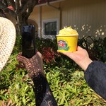 Dole Plantation - 