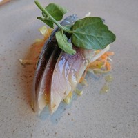 テアトロ ディ マッサ - しめさば、チコリ、金柑