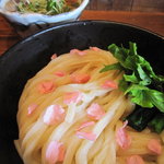 東京うどん 一将 - 肉もり葱みぞれ￥1,000/2011年5月バージョン