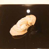 鮨桂太 - 