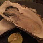 堺筋倶楽部　L'HISTOIRE - 