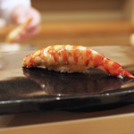 日本橋蛎殻町 すぎた - 【握り】巻き海老