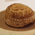 HAGI - 原木しいたけ