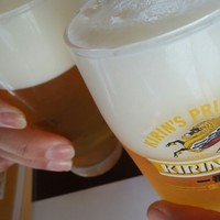 いもぼう 平野家本家 - 生ビール
