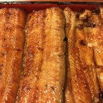 鰻はし本 - 鰻重 ろ