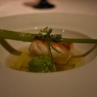THE KOBECRUISE コンチェルト - 