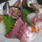 居酒屋　海門 - その日にとれた新鮮な玄海のお刺身！単品400円より！