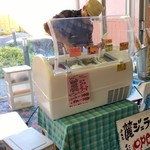 ベルガ出張販売中（限定）