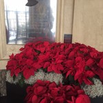 The westin palace Madrid - 