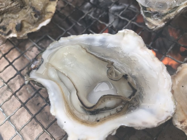 牡蠣の平尾 門司港 魚介料理 海鮮料理 食べログ 牡蠣の平尾 門司港 魚介料理 海鮮料理 食べログ