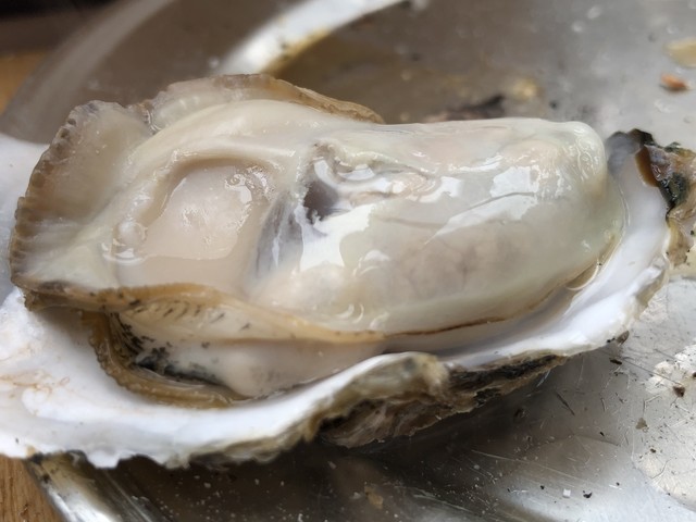 牡蠣の平尾 門司港 魚介料理 海鮮料理 食べログ 牡蠣の平尾 門司港 魚介料理 海鮮料理 食べログ